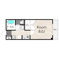 1K広々8帖、収納大きめ布団が入る大きさです。間取